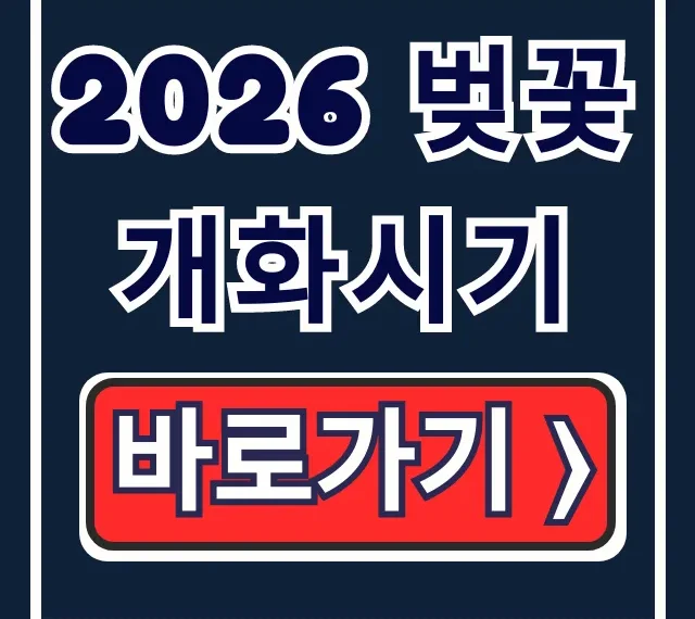2026 벚꽃 개화시기: 만개시기부터 명소까지 완벽 가이드