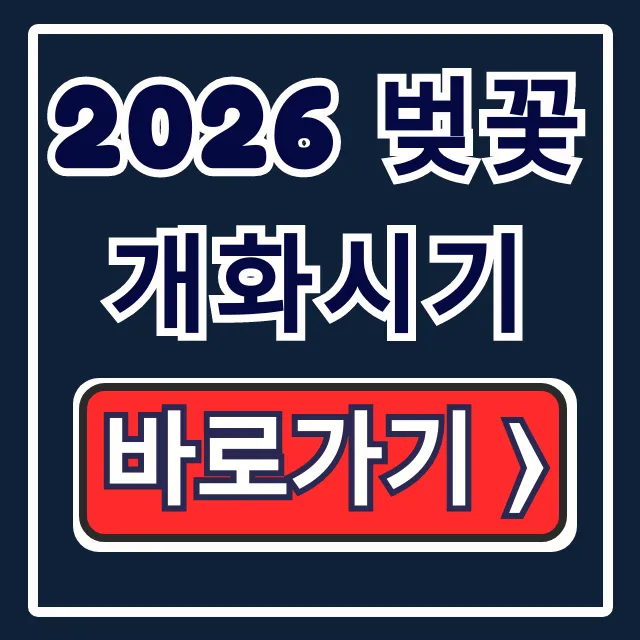 2026 벚꽃 개화시기: 만개시기부터 명소까지 완벽 가이드