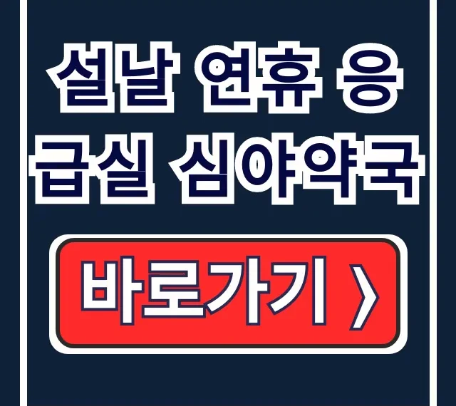 2026 설날 응급실 심야약국: 문 연 병원