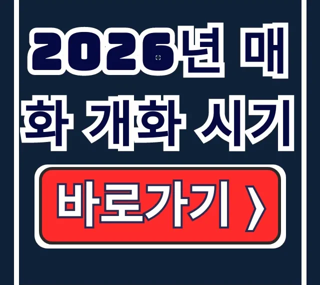 2026년 매화 개화 시기: 광양·원동 축제 일정 2026년 매화 개화 시기: 광양·원동 축제 일정