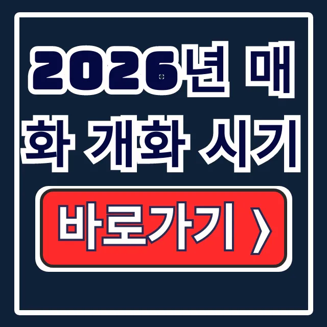 2026년 매화 개화 시기: 광양·원동 축제 일정 2026년 매화 개화 시기: 광양·원동 축제 일정