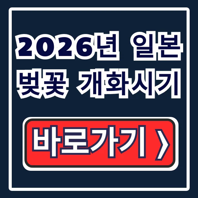 2026년 일본 벚꽃 개화시기: 오사카 도쿄 명소 완벽 가이드