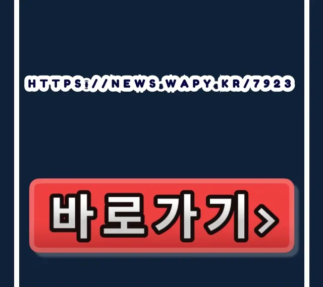 6003번 공항버스 시간표 노선 총정리