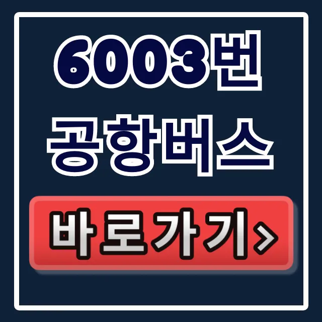 6003번 공항버스 시간표, 요금 총정리 6003번 공항버스 시간표, 요금 총정리