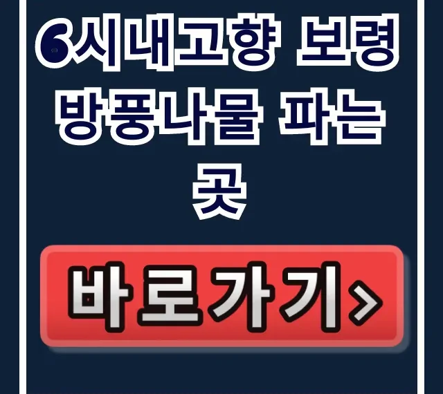 6시내고향 보령 방풍나물 파는 곳 녹수청산 직거래 정보 6시내고향 보령 방풍나물 파는 곳 녹수청산 직거래 정보