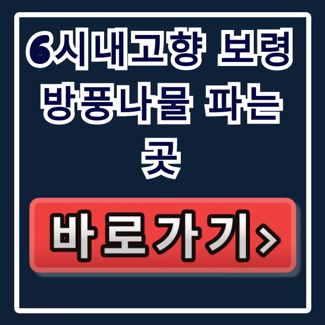 6시내고향 보령 방풍나물 파는 곳 녹수청산 직거래 정보 6시내고향 보령 방풍나물 파는 곳 녹수청산 직거래 정보