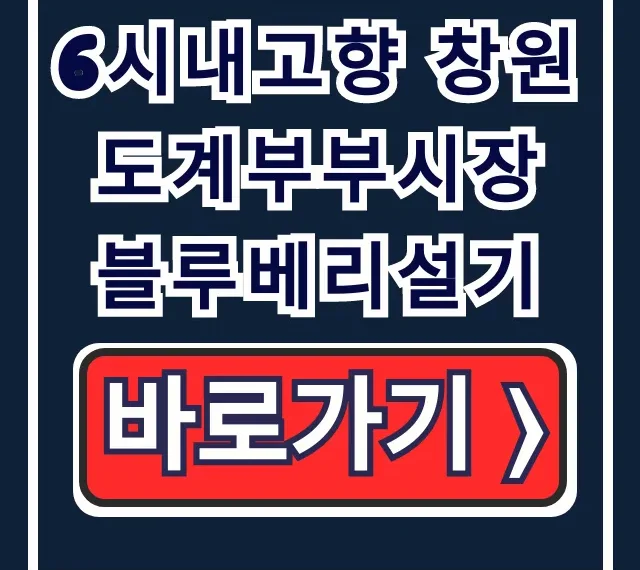 6시내고향 창원 도계부부시장 블루베리설기 총정리