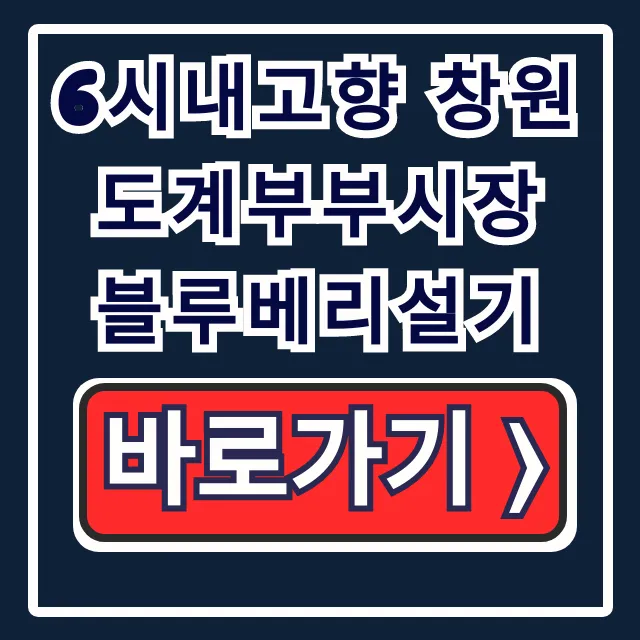 6시내고향 창원 도계부부시장 블루베리설기 총정리 6시내고향 창원 도계부부시장 블루베리설기 총정리