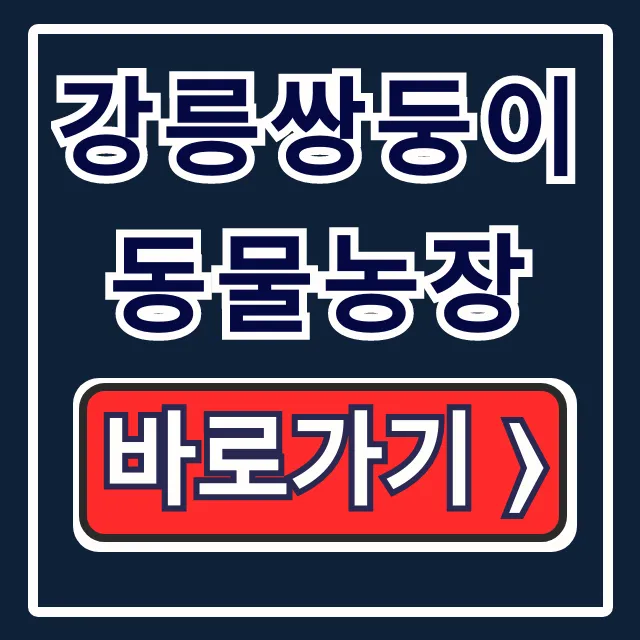 강릉쌍둥이동물농장 입장료 운영시간 생생정보 총정리!