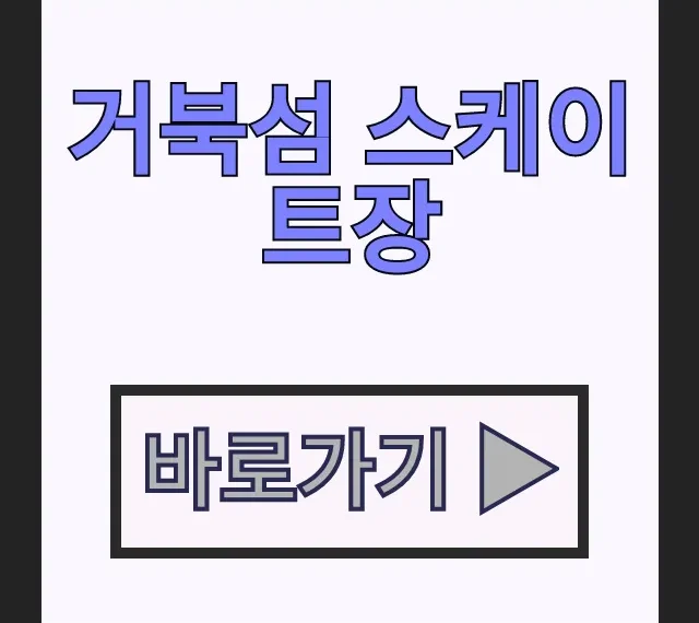 거북섬 스케이트장 예약 방법과 가격 시흥 아이와 갈만한곳 거북섬 스케이트장 예약 방법과 가격 시흥 아이와 갈만한곳