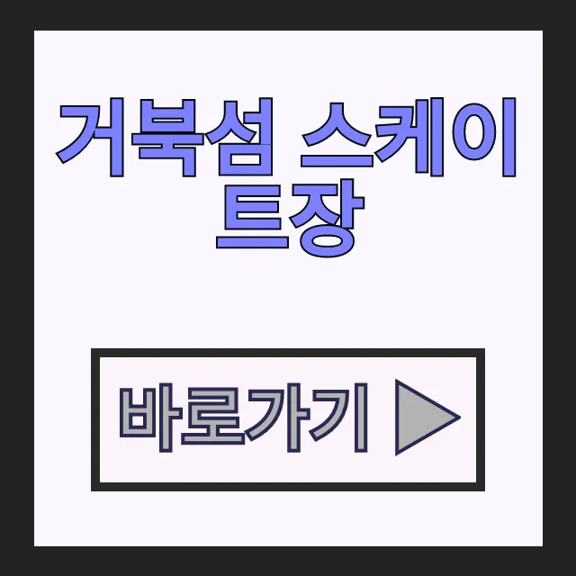 거북섬 스케이트장 예약 방법과 가격 시흥 아이와 갈만한곳