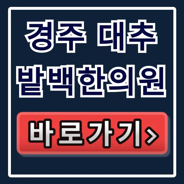 경주 대추밭백한의원 예약/가격/연락처 총정리 경주 대추밭백한의원 예약/가격/연락처 총정리