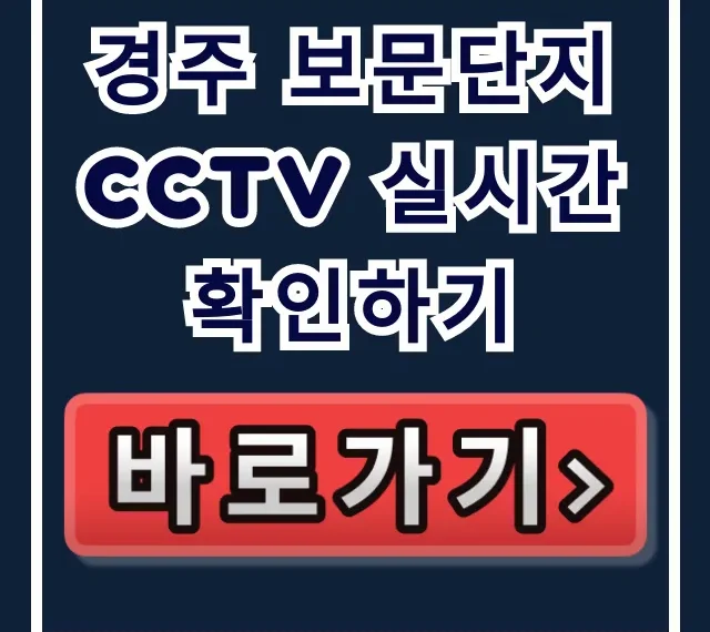 경주 보문단지 cctv 실시간 확인하기 꿀팁 총정리 경주 보문단지 cctv 실시간 확인하기 꿀팁 총정리