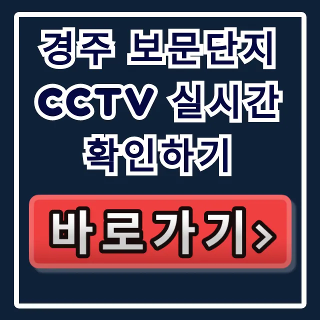 경주 보문단지 cctv 실시간 확인하기 꿀팁 총정리