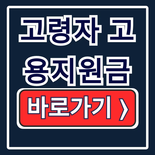 고령자 고용지원금 대상? 신청 조건부터 총정리! 고령자 고용지원금 대상? 신청 조건부터 총정리!