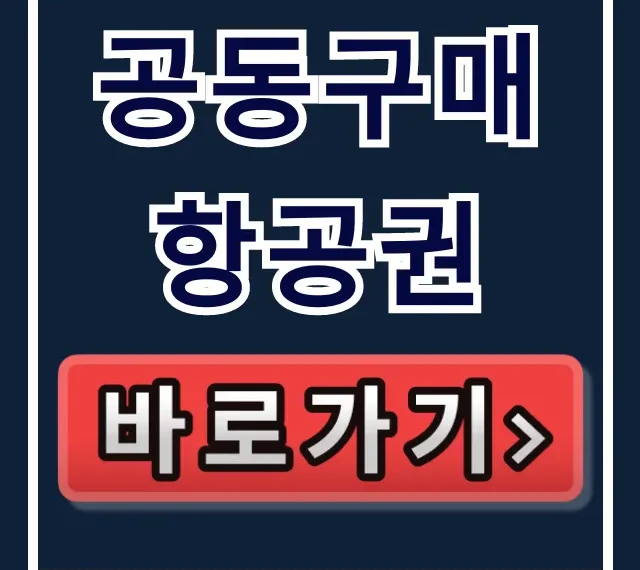공동구매항공권 완벽 가이드: 최저가 예매 꿀팁 공동구매항공권 완벽 가이드: 최저가 예매 꿀팁