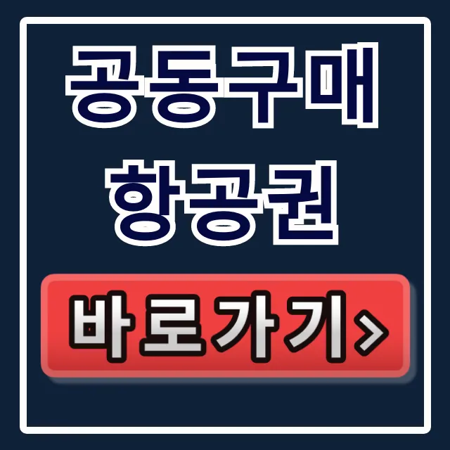 공동구매항공권 완벽 가이드: 최저가 예매 꿀팁 공동구매항공권 완벽 가이드: 최저가 예매 꿀팁
