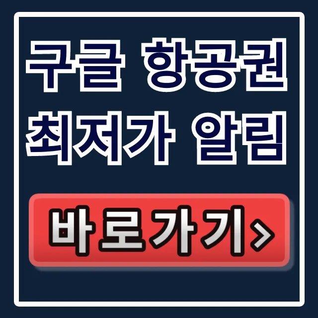 구글 항공권 최저가 알림, 1분 설정으로 끝! 구글 항공권 최저가 알림, 1분 설정으로 끝!