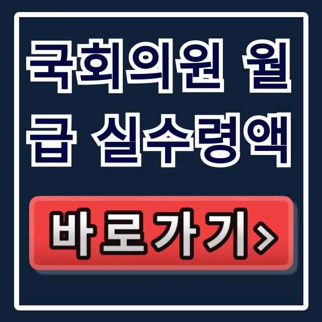 국회의원 월급 실수령액 세전 세후 연봉 완벽 분석