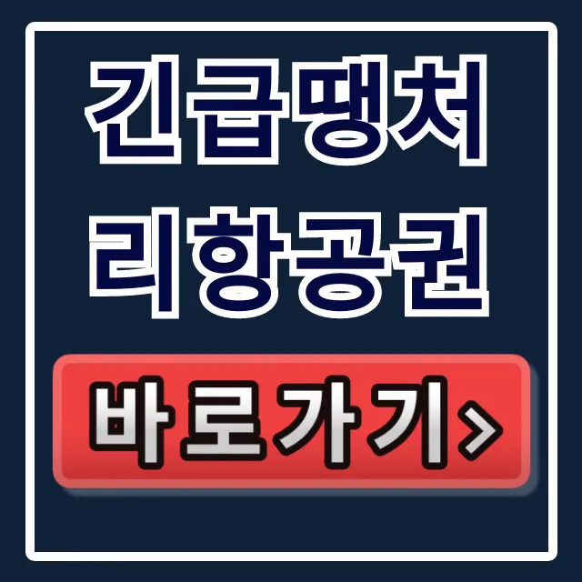 긴급땡처리항공권 최저가 조회, 구매 꿀팁 총정리