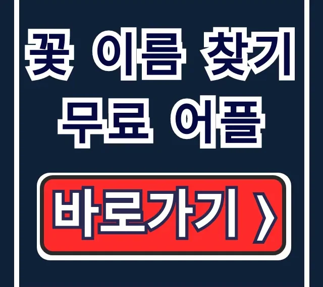꽃 이름 찾기 무료 어플, 사진으로 식물 이름 찾는 완벽 가이드 꽃 이름 찾기 무료 어플, 사진으로 식물 이름 찾는 완벽 가이드