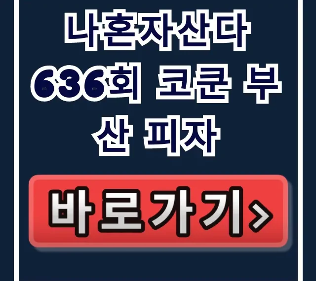 나혼자산다 636회 코쿤 부산 피자 가게 위치 총정리