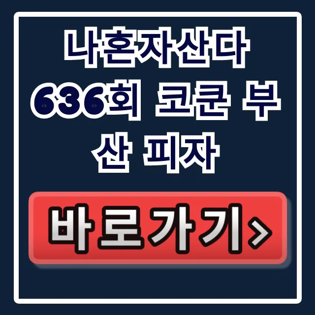 나혼자산다 636회 코쿤 부산 피자 가게 위치 총정리 나혼자산다 636회 코쿤 부산 피자 가게 위치 총정리