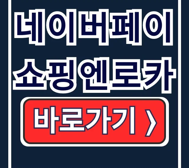 네이버페이 쇼핑엔로카 신청 혜택 무이자 할부 완벽 정리 네이버페이 쇼핑엔로카 신청 혜택 무이자 할부 완벽 정리
