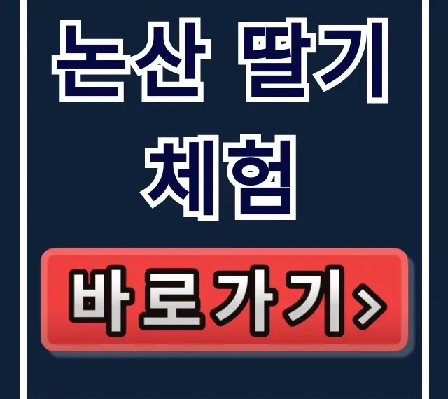 논산 딸기체험 예약! 행복해 농장 딸기 구매 꿀팁