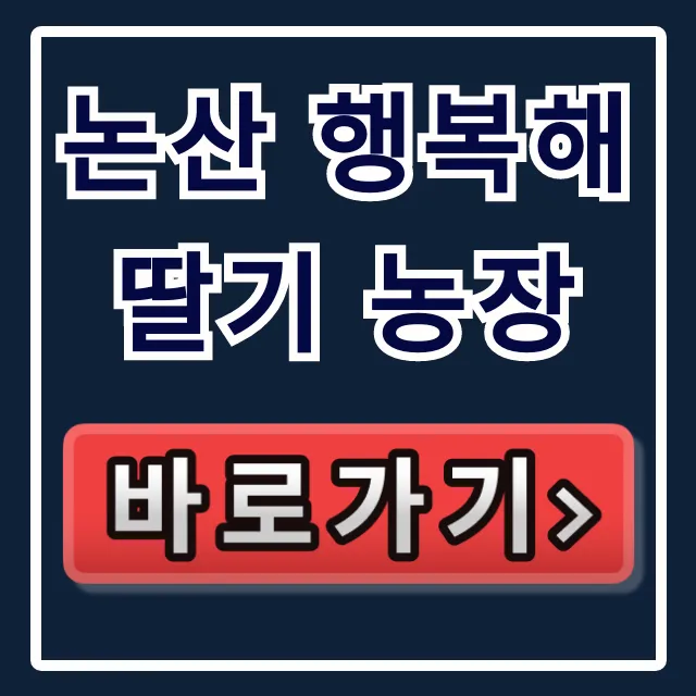 논산 행복해 딸기 농장 체험 예약 총정리