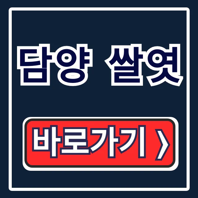 담양 쌀엿 주문, 한국기행 속 창평 쌀엿 꿀팁