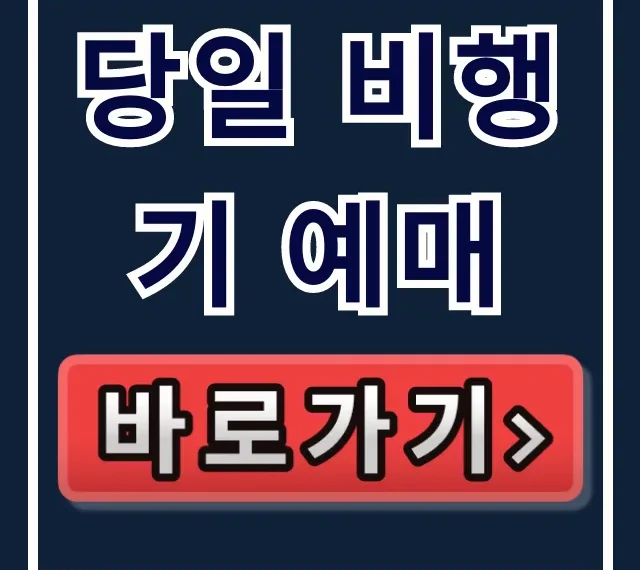 당일 비행기 예매 꿀팁, 최저가로 성공하는 완벽 가이드 당일 비행기 예매 꿀팁, 최저가로 성공하는 완벽 가이드