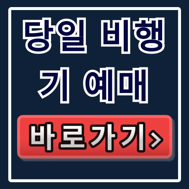 당일 비행기 예매 꿀팁, 최저가로 성공하는 완벽 가이드