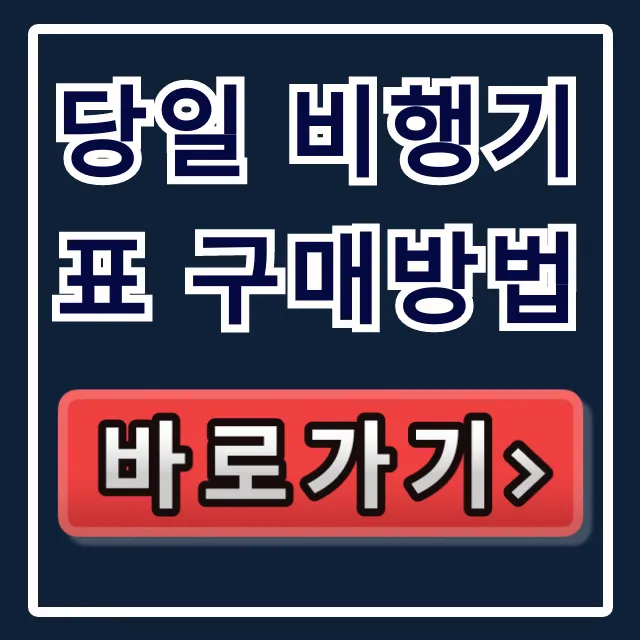 당일 비행기표 구매방법, 긴급 최저가 성공 꿀팁 총정리