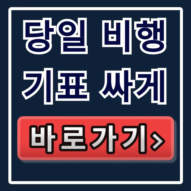 당일 비행기표 싸게 임박 특가 조회 꿀팁