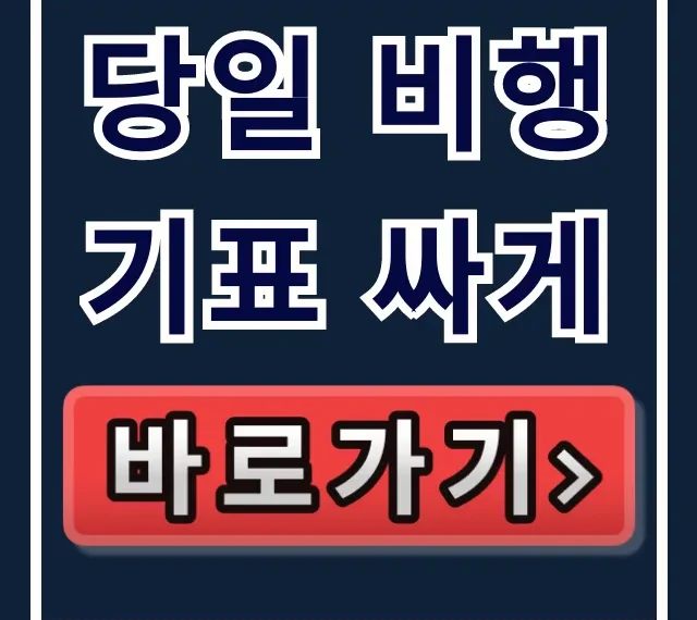 당일 비행기표 싸게! 임박 항공권 조회 꿀팁 총정리 당일 비행기표 싸게! 임박 항공권 조회 꿀팁 총정리