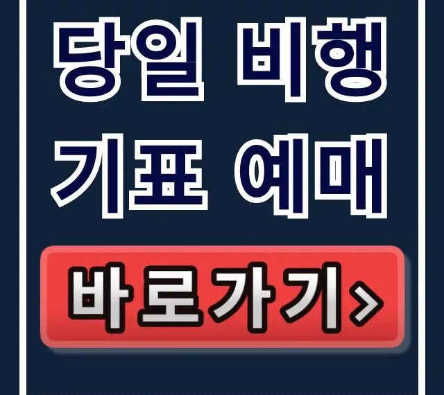 당일 비행기표 예매, 급할 때 싸게 사는 꿀팁 총정리 당일 비행기표 예매, 급할 때 싸게 사는 꿀팁 총정리