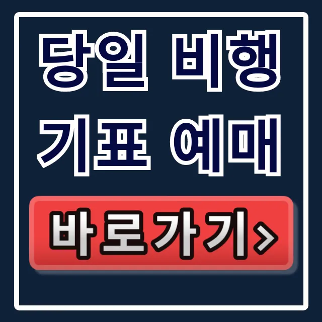 당일 비행기표 예매, 급할 때 최저가 꿀팁 당일 비행기표 예매, 급할 때 최저가 꿀팁