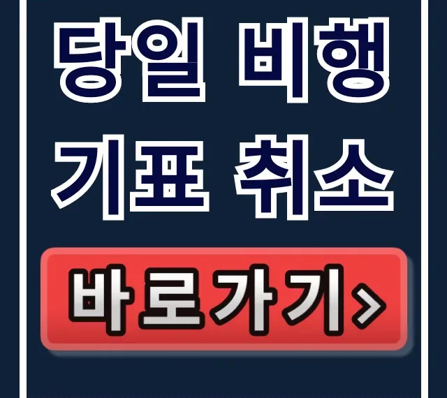당일 비행기표 취소, 수수료 폭탄 피하는 방법 당일 비행기표 취소, 수수료 폭탄 피하는 방법