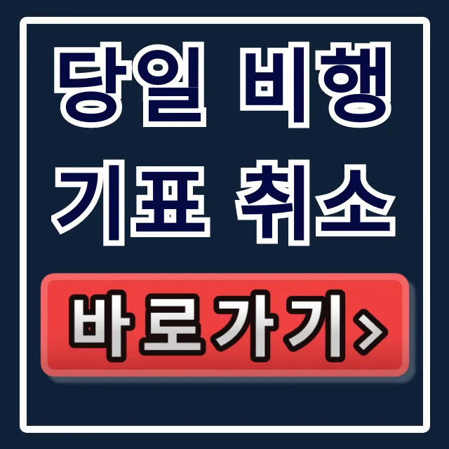 당일 비행기표 취소, 수수료 폭탄 피하는 방법