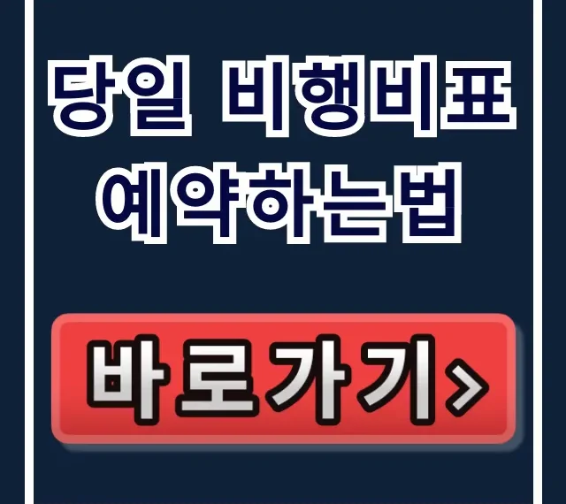 당일 비행비표 예약하는법! 긴급 최저가 구매 총정리 당일 비행비표 예약하는법! 긴급 최저가 구매 총정리