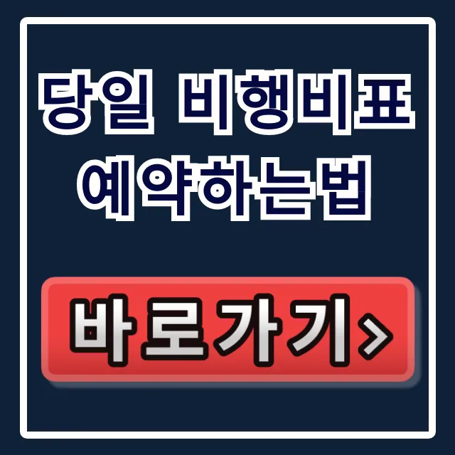 당일 비행비표 예약하는법! 긴급 항공권 총정리