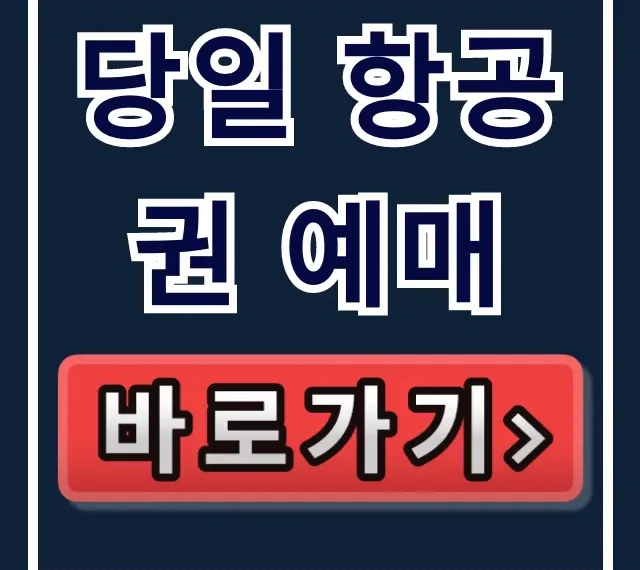 당일 항공권 예매 최저가 꿀팁 총정리 당일 항공권 예매 최저가 꿀팁 총정리