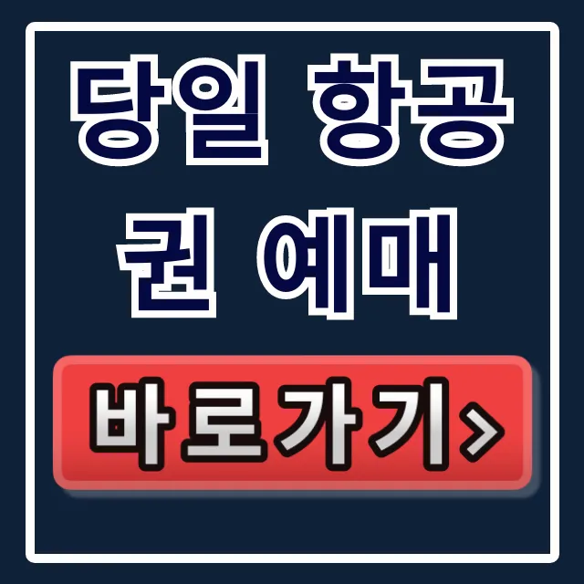 당일 항공권 예매 최저가 꿀팁 총정리