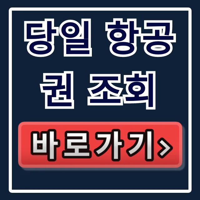 당일 항공권 조회: 즉흥 여행자를 위한 최저가 꿀팁