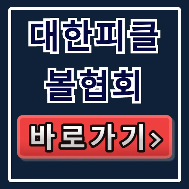 대한피클볼협회 피클볼 규칙과 대회 일정 완벽 가이드 대한피클볼협회 피클볼 규칙과 대회 일정 완벽 가이드