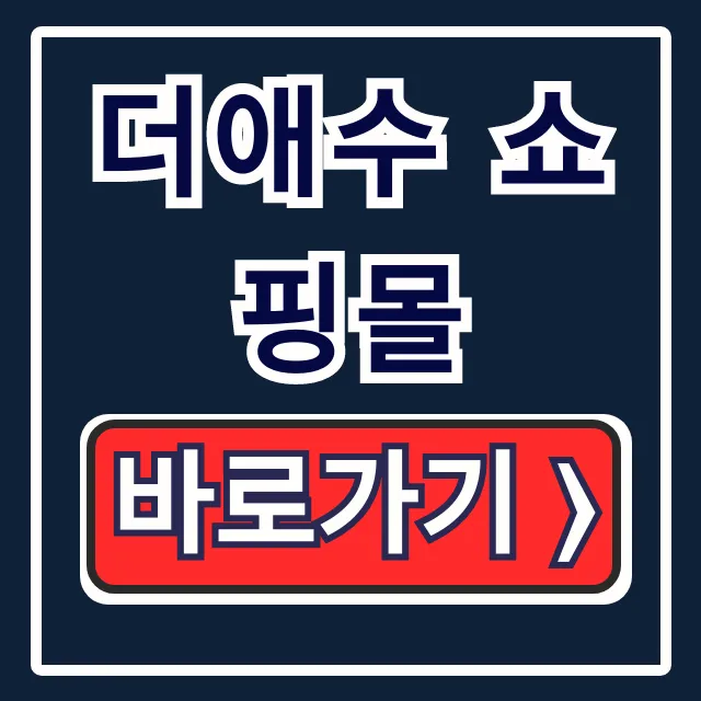 더애수 쇼핑몰: 홈페이지 바로가기 & 주문조회 꿀팁