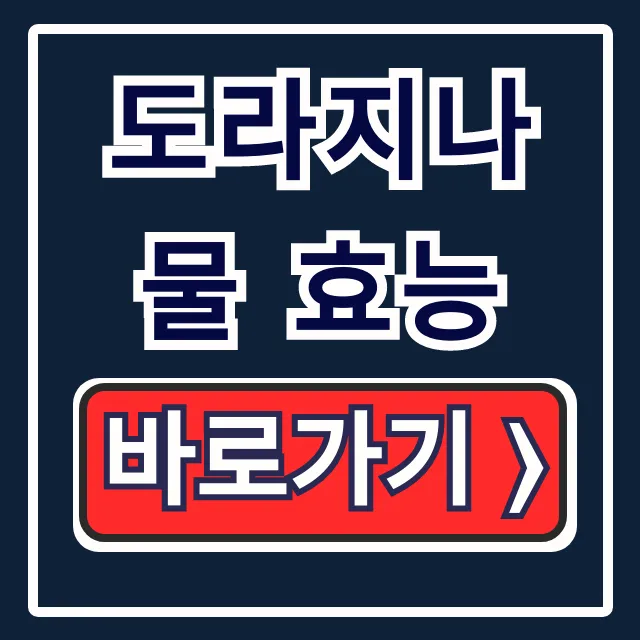 도라지나물 효능: 기침 잡는 면역력, 사포닌 핵심 정리!