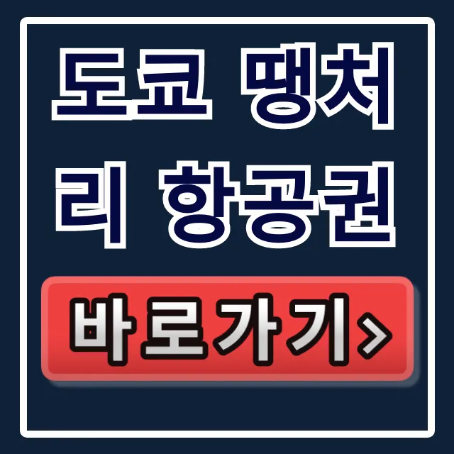 도쿄 땡처리 항공권 최저가 예약 꿀팁 총정리 도쿄 땡처리 항공권 최저가 예약 꿀팁 총정리