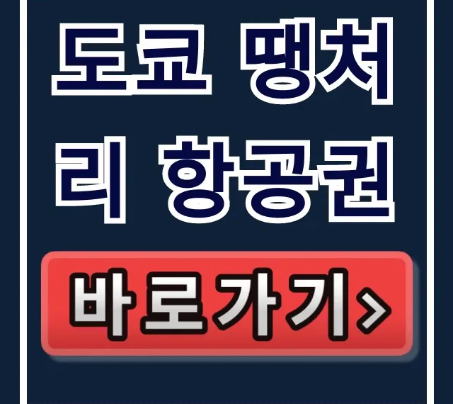도쿄 땡처리 항공권 최저가 조회 꿀팁 총정리 도쿄 땡처리 항공권 최저가 조회 꿀팁 총정리